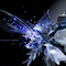 592801 qnsp 1578928603